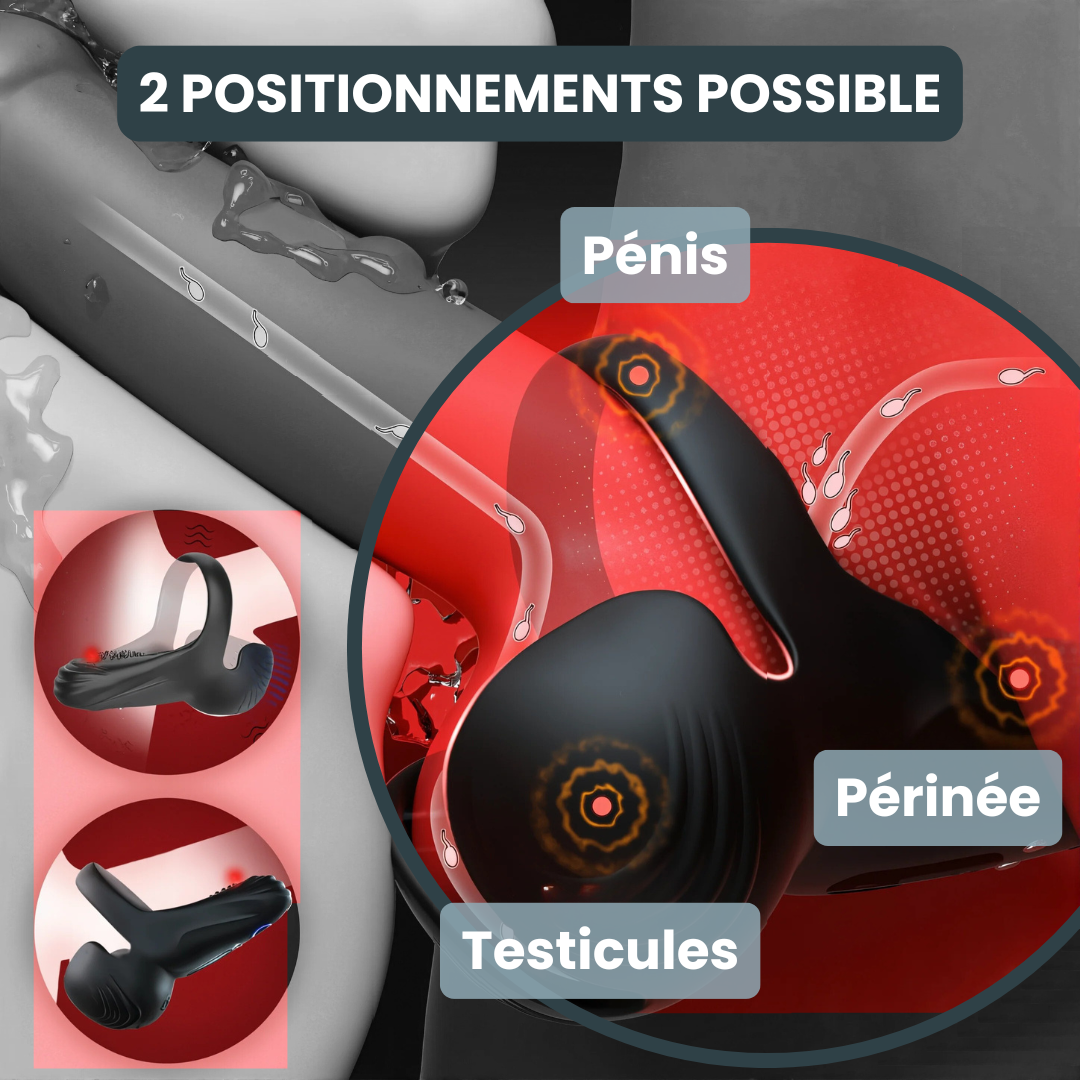 Nolyaa™ Performance retrouvée